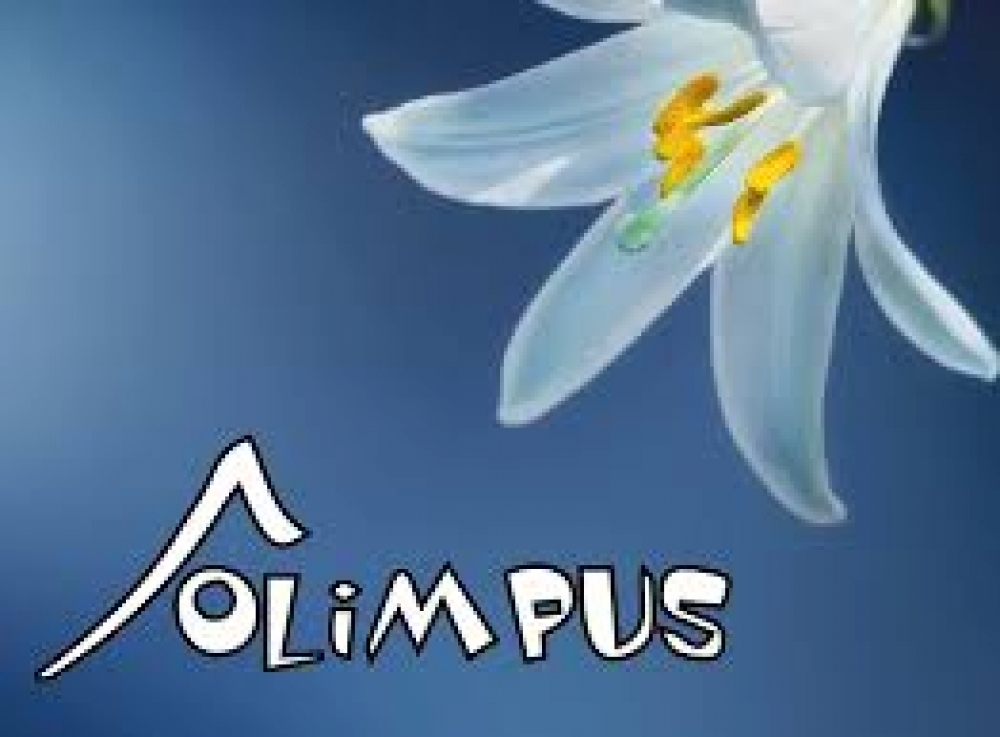 Wyniki konkursu Olimpus wiosna klasy 6-8