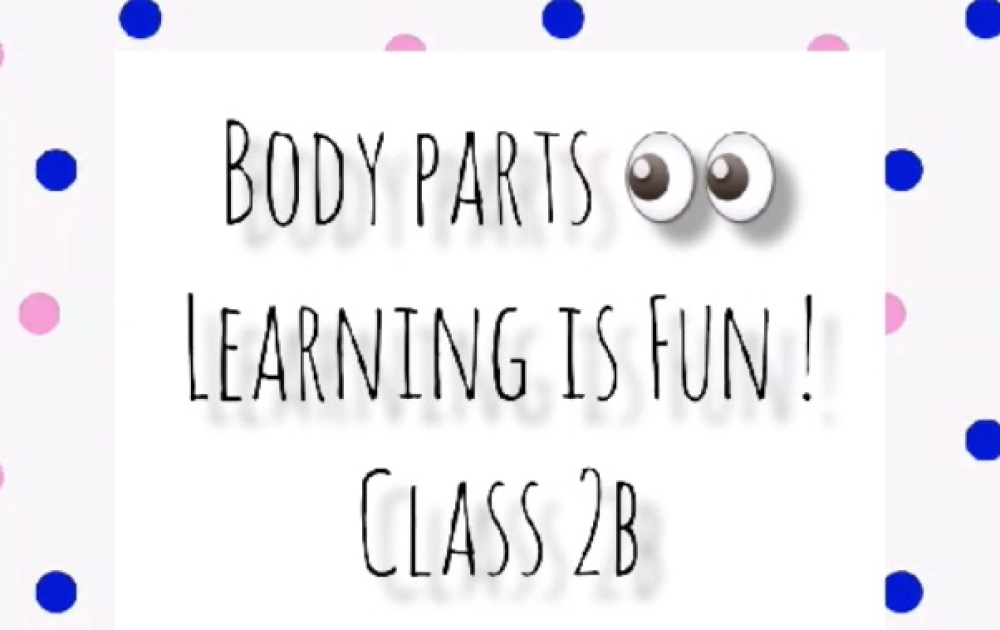 Body parts - learning  is fun!