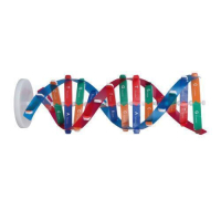 Model DNA klasa 8a